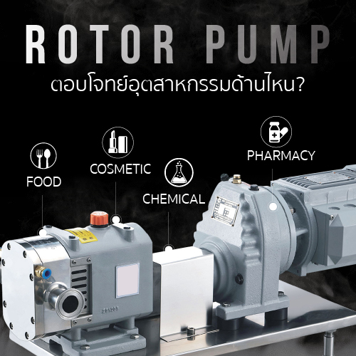 Rotor pump RP เหมาะกับงานปั๊มที่เหมาะใช้ในอุตสาหกรรม